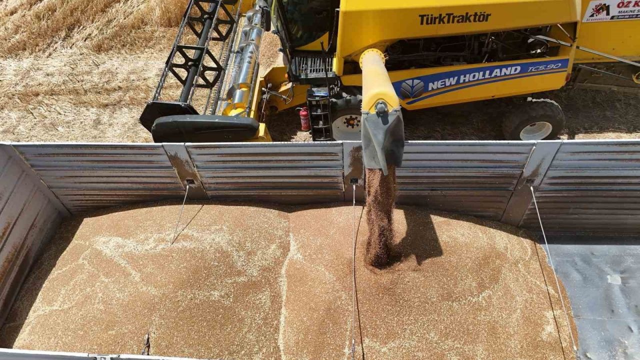 Çiftçi emeğinin karşılığını almak için hasat mesaisine başladı