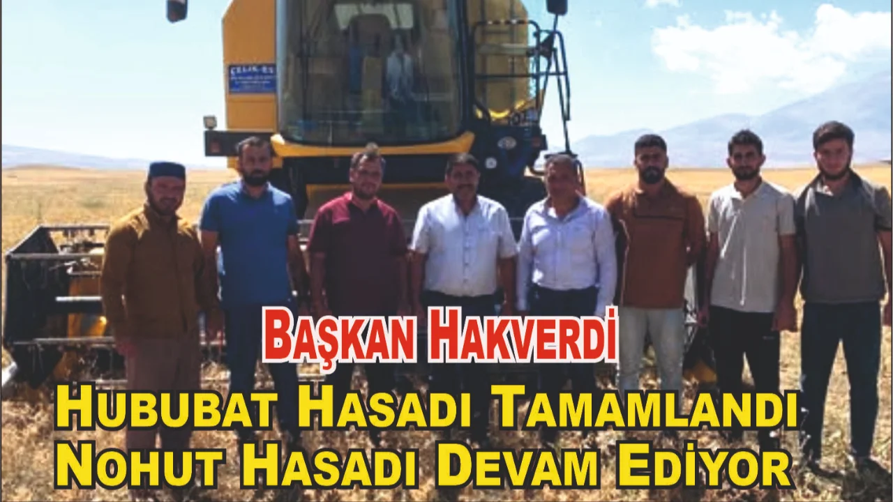 Patnos’ta Hububat Hasadı Tamamlandı, Nohut Hasadı Başladı