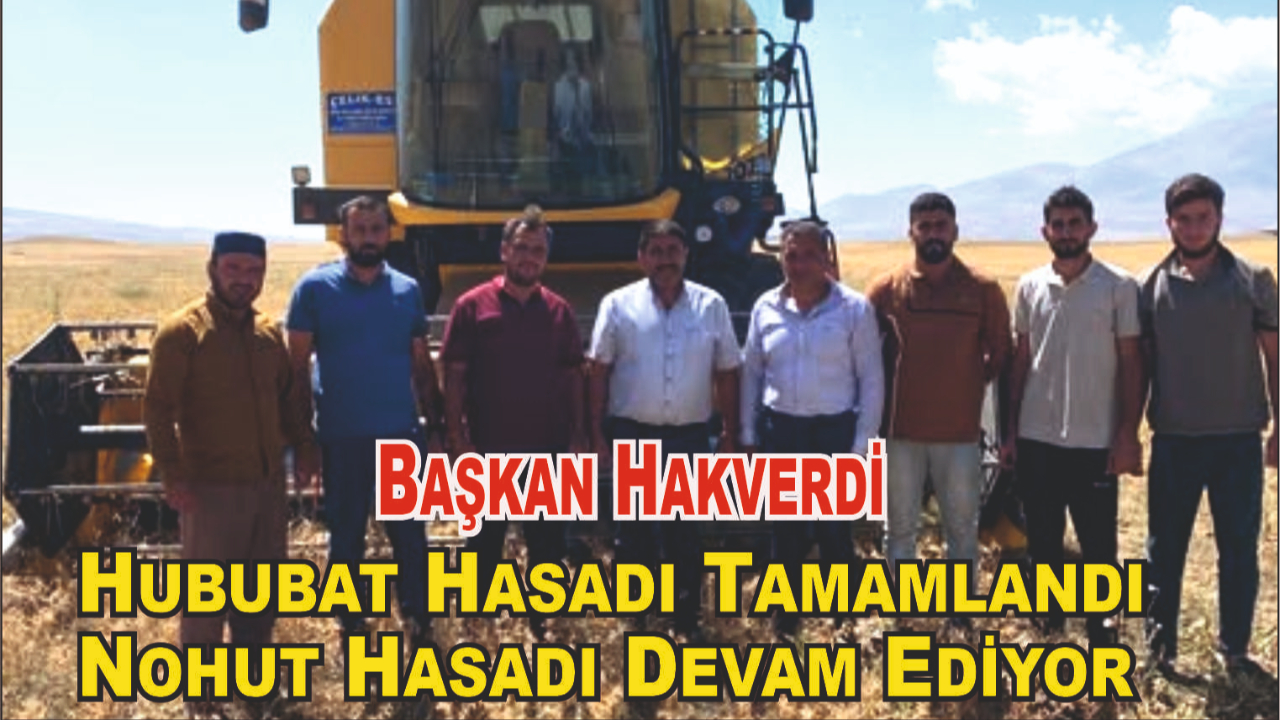 Patnos’ta Hububat Hasadı Tamamlandı, Nohut Hasadı Başladı