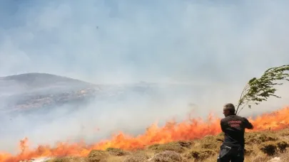 Arazi yangını