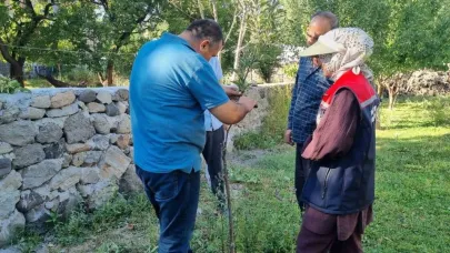 Kars’ta meyve ağaçları aşılanıyor