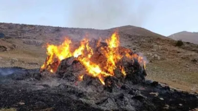 Van'ın Gevaş ilçesinde yangını