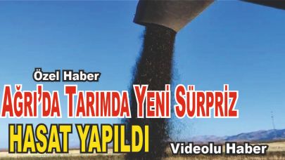 Ağrı Tarlalarında Sürpriz Hasat