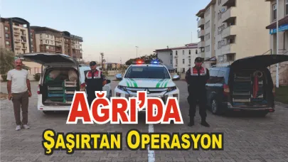 Ağrı’da Kaçak Kurbağa Operasyonu