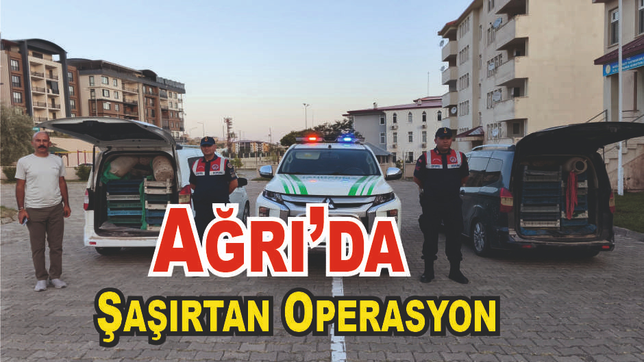 Ağrı’da Kaçak Kurbağa Operasyonu