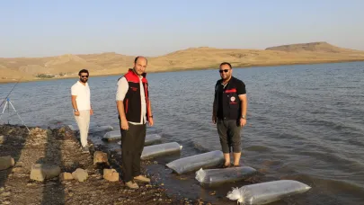 Ağrı’da Yazıcı Barajı’na 100 Bin Yavru Sazan Bırakıldı