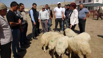Van Hayvan Pazarı hizmete başladı