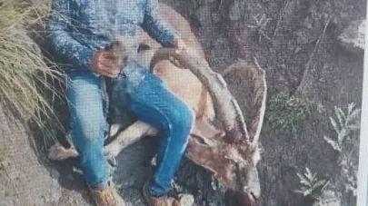 Jandarma yaban keçisi avlayan şahısa ağır para cezası uyguladı