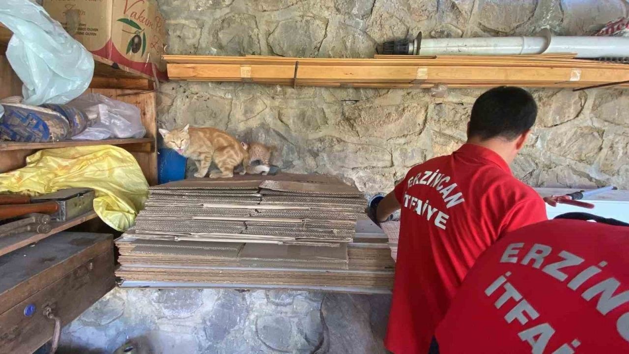 İtfaiye ekipleri boruya sıkışan yavru kediyi kurtardı
