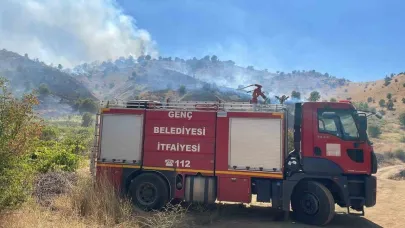 Genç'te çıkan orman yangınına ekipler müdahale etti