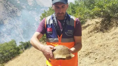 AFAD gönüllüsü yangın bölgesindeki kaplumbağayı kurtardı