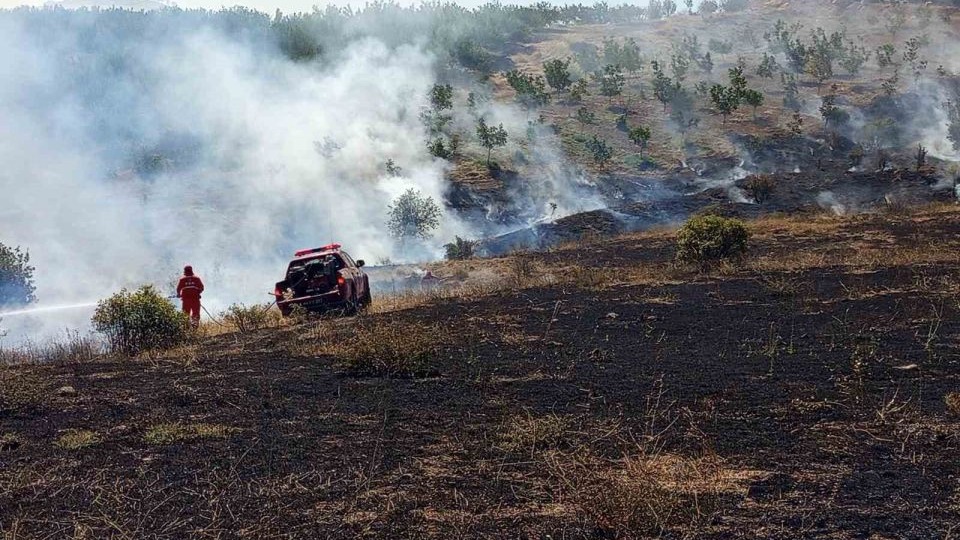 Hekimhan’da ormanlık alanda çıkan yangın söndürüldü