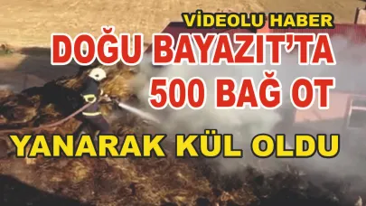 Doğubayazıt’ta 500 Balya Ot Yangında Kül Oldu(Videolu Haber)