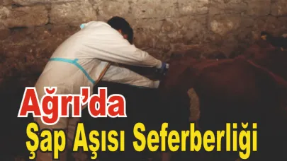 Ağrı’da şap hastalığına karşı aşılama çalışmaları sürüyor