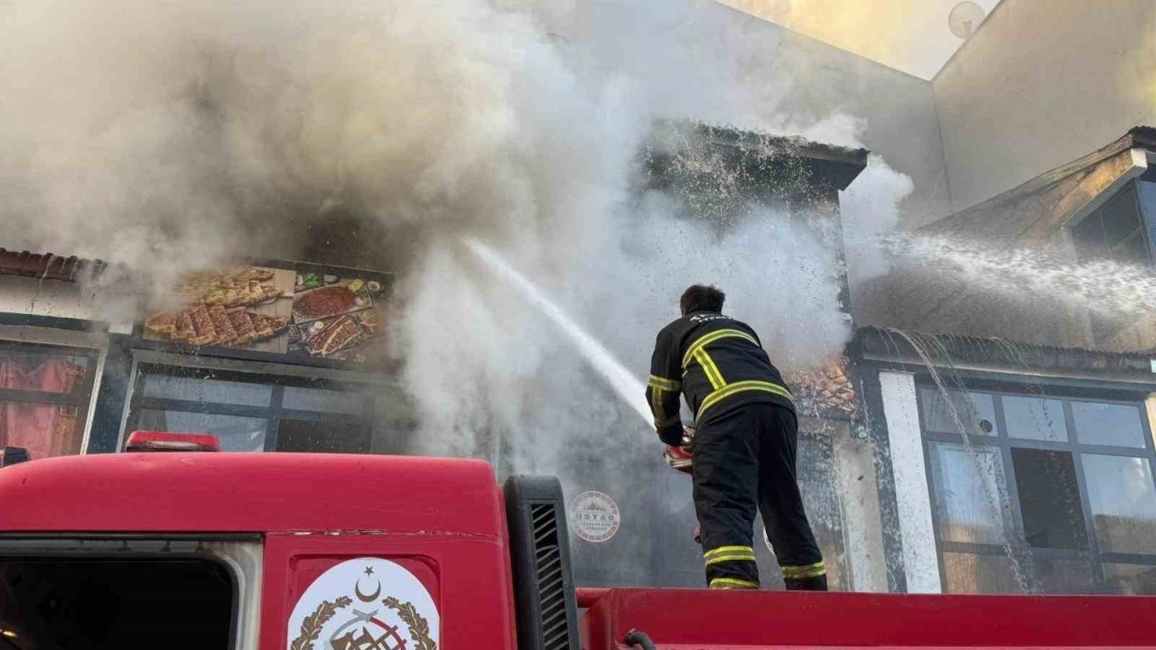 Bitlis Tatvan ilçesinde yangın korkuttu
