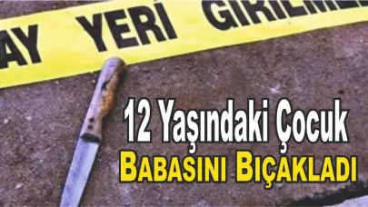 12 Yaşındaki Çocuk, Annesini Kurtarmak İçin Babasını Bıçakladı