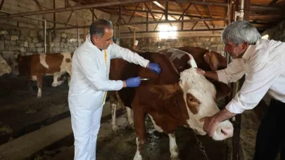 Kars’ta Tarım Orman Müdürü Aydın kolları sıvadı, büyükbaş hayvanları aşıladı