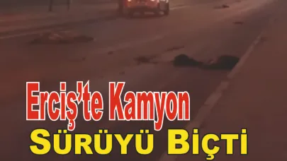 Kaza Dehşeti: Kamyon Koyunların Arasına Girdi