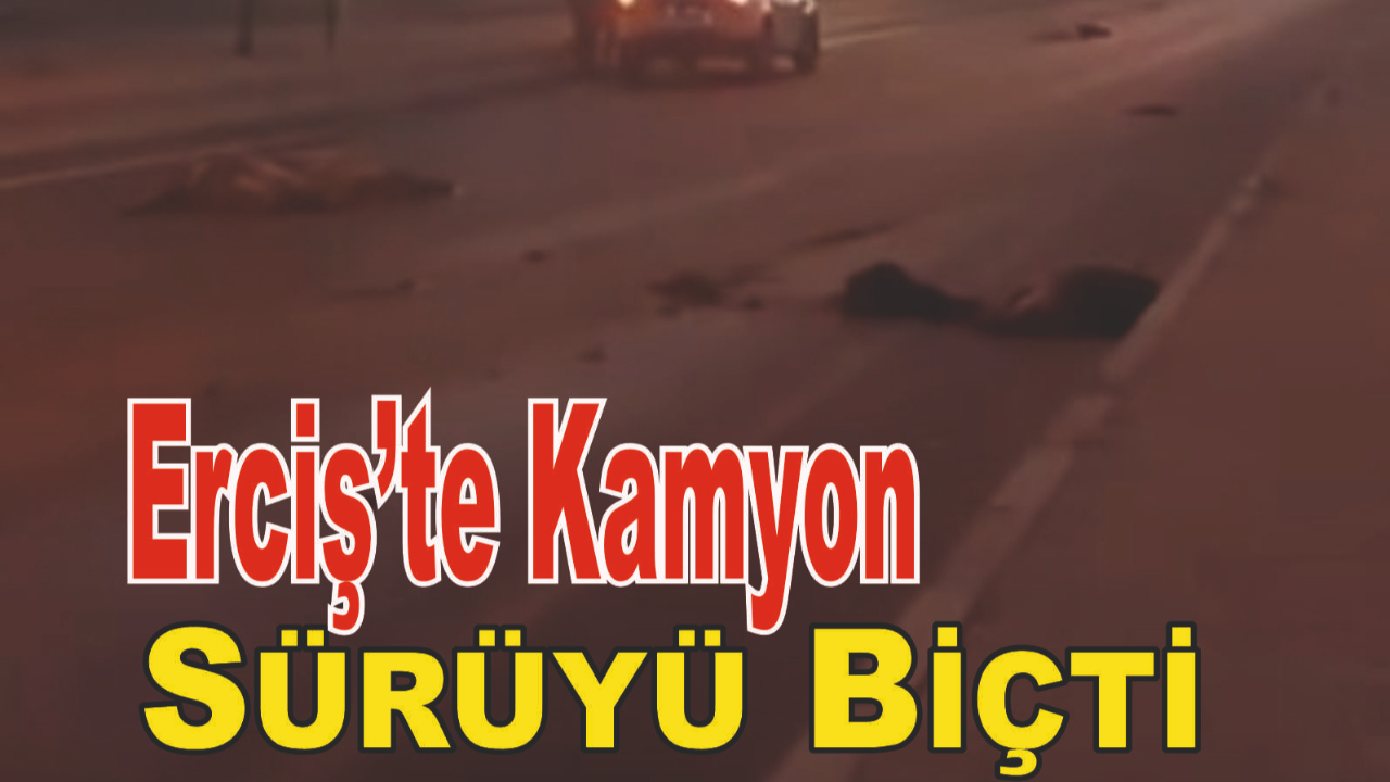 Kaza Dehşeti: Kamyon Koyunların Arasına Girdi