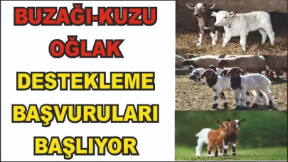 Büyükbaş ve Küçükbaş Hayvan Destekleme Başvuruları Başlıyor