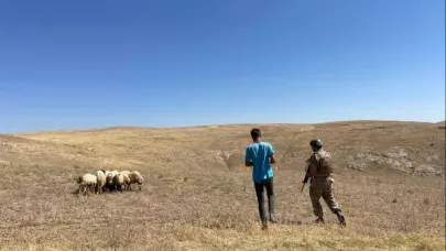Kaybolan koyunları jandarma dronla buldu
