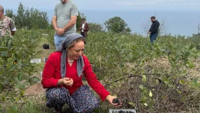 Aronya Akçaabat’tan dünyaya açılıyor