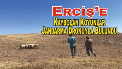Erciş’te Kaybolan Koyunlar, Jandarma Dronuyla Bulundu