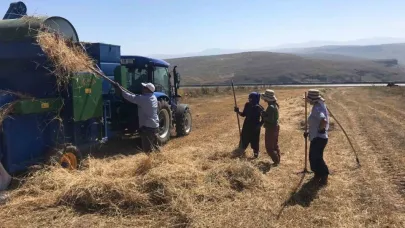 Ardahan’da güneş altında patoz mesaisi