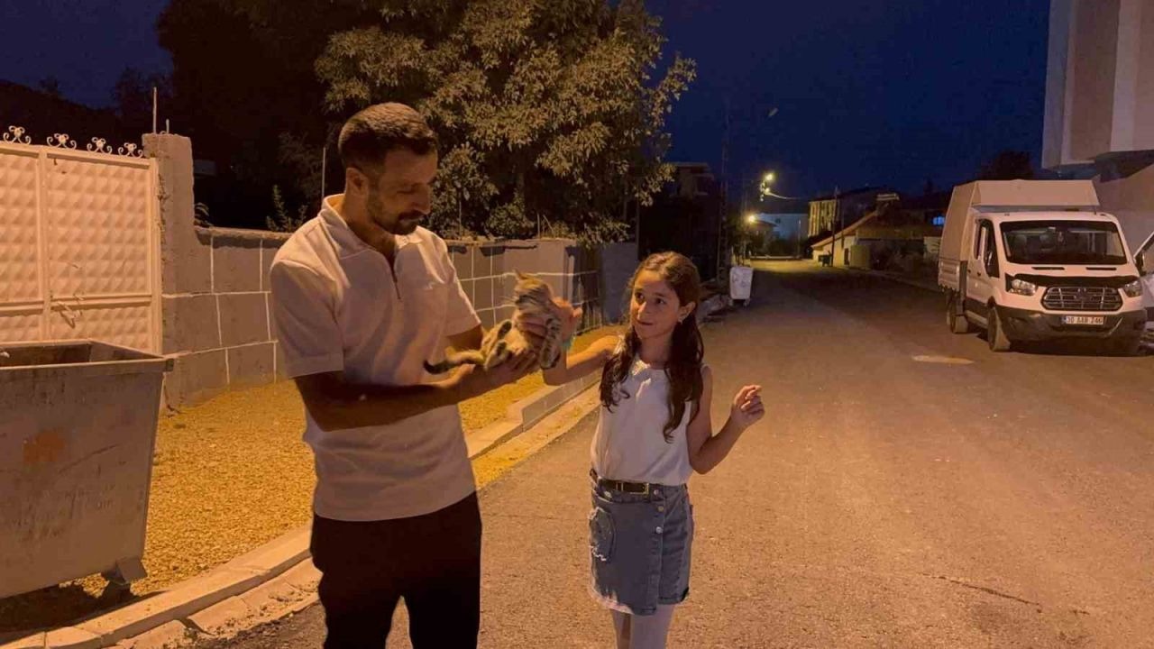 Yüksekova’da baba-kız yaralı kediyi hayata döndürdü