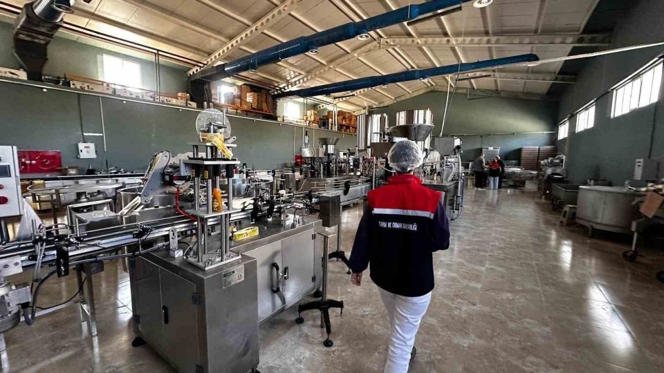 Erzurum'da gıda satışı yapan 254 işyeri denetlendi