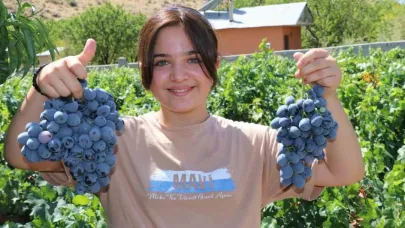 Cimin Üzümü hastalıklara şifa