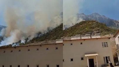 Hakkari-Çukurca kara yolundaki makilik alanda yangın çıktı