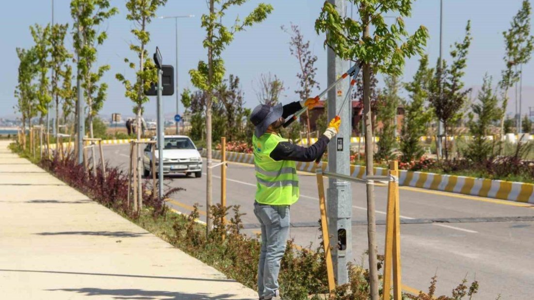 Van'da sahil yolunda geniş kapsamlı peyzaj çalışması yürütüyor