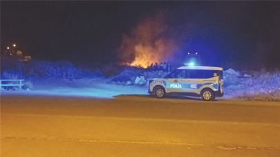 Erciş'te Çıkan Yangın Büyümeden Kontrol Altına Alındı (Videolu Haber)