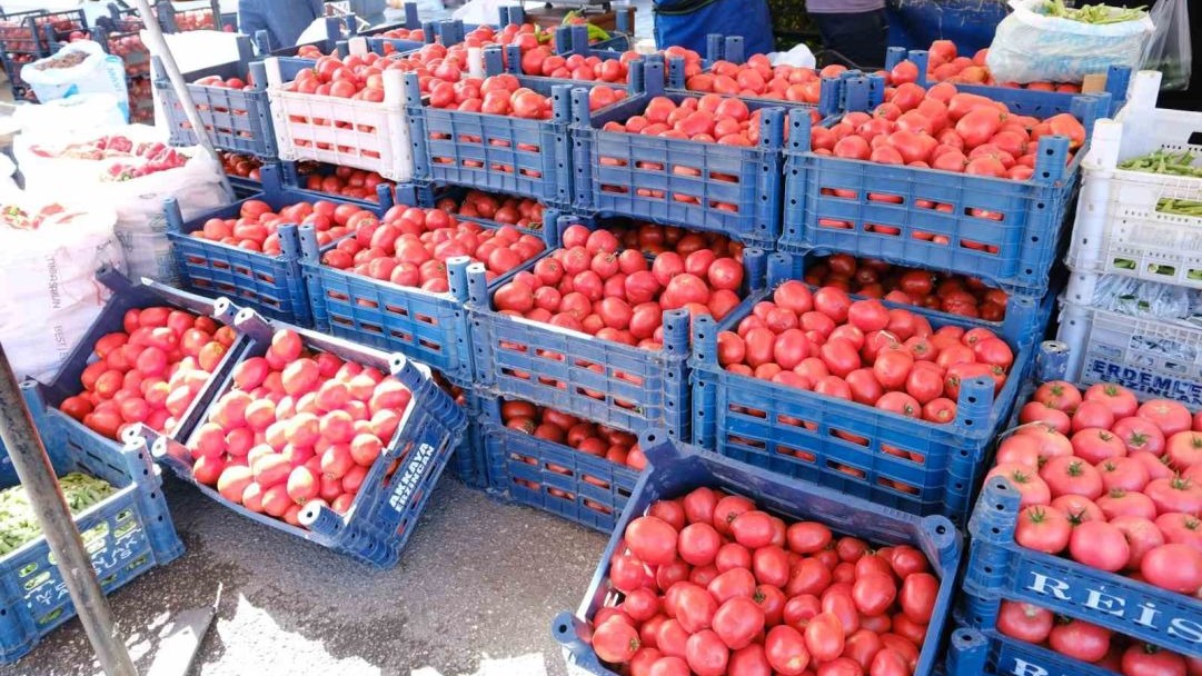 Erzincan’da salçalık domates ve biberler tezgahlarda