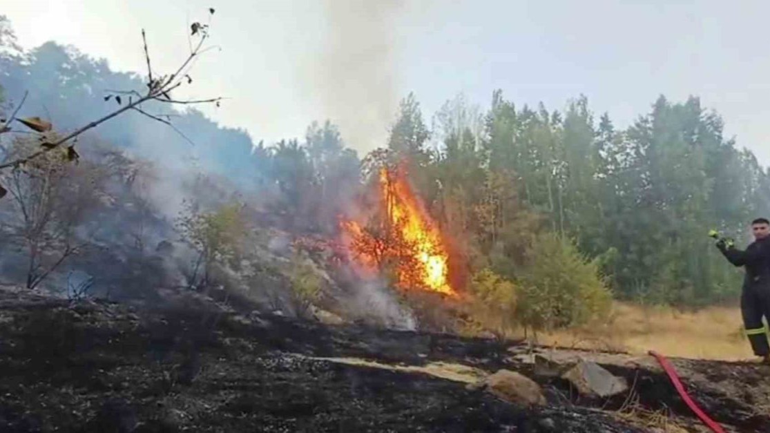Hakkari’de 3 farklı bölgede çıkan yangın itfaiye ekiplerince söndürüldü