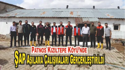 Patnos Kızıltepe Köyü’nde Şap Aşılama Çalışmaları Gerçekleştirildi