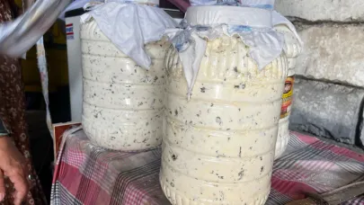 Ağrı’da kadınlar kış sofraları için peynirleri toprak altında olgunlaştırıyor