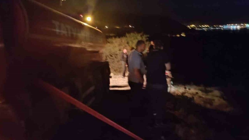 Bitlis'in Tatvan ilçesinde orman yangını