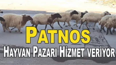 Patnos Hayvan Pazarı Açıldı