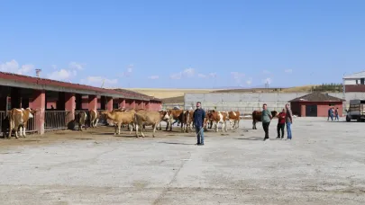 Ağrı Canlı Hayvan Borsası Yeniden Üreticilere Hizmet Vermeye Başladı