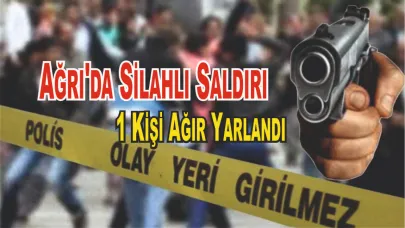 Ağrı'da Silahlı Saldırı