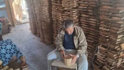 Erzurum’un Çat ilçesinde arıcıların ayı nöbeti