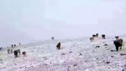 Erzurum’a mevsimin ilk karı yağdı
