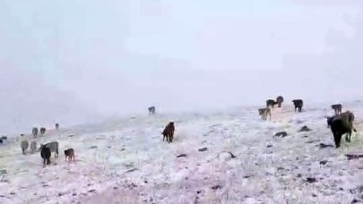 Erzurum’a mevsimin ilk karı yağdı