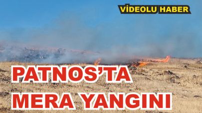 Patnos'ta mera yangını korkuttu(Videolu Haber)