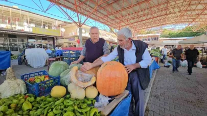 Bal kabağı üreticinin yüzünü güldürüyor