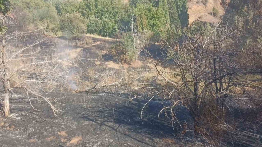Bahçede çıkan yangın korkuttu