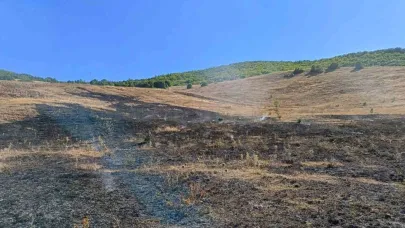 Aşkale Güneyçam Köyü’nde anız ve küçük canlılar yandı: 100 dönüm alan kül oldu