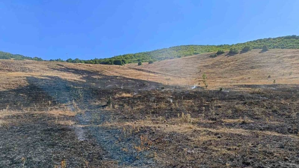 Aşkale Güneyçam Köyü’nde anız ve küçük canlılar yandı: 100 dönüm alan kül oldu